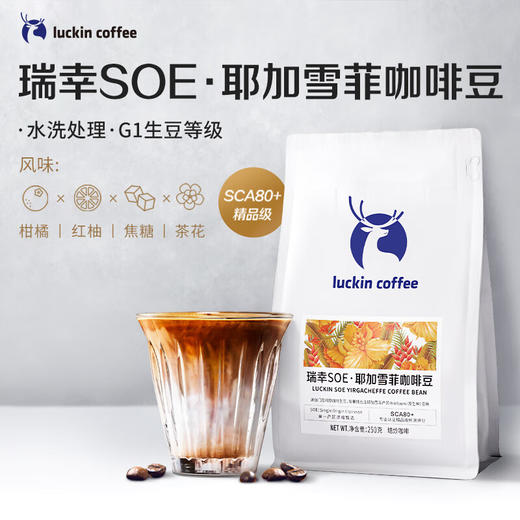 瑞幸咖啡SOE 耶加雪菲咖啡豆250g RX0017 商品图2