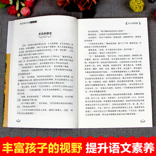 语文课本作家作品系列单色  巨人的花园 商品图5