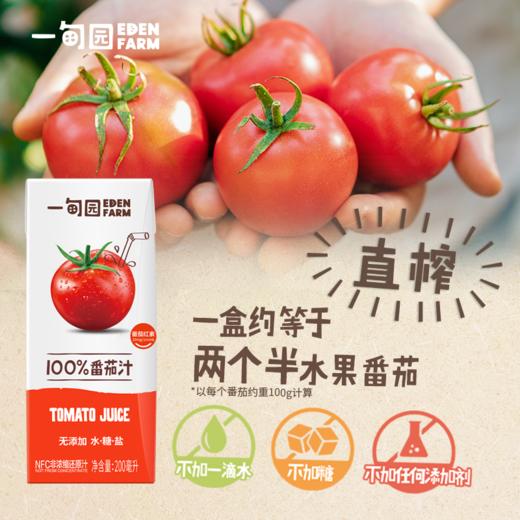 一甸园 100%番茄汁 200ml*10 商品图1
