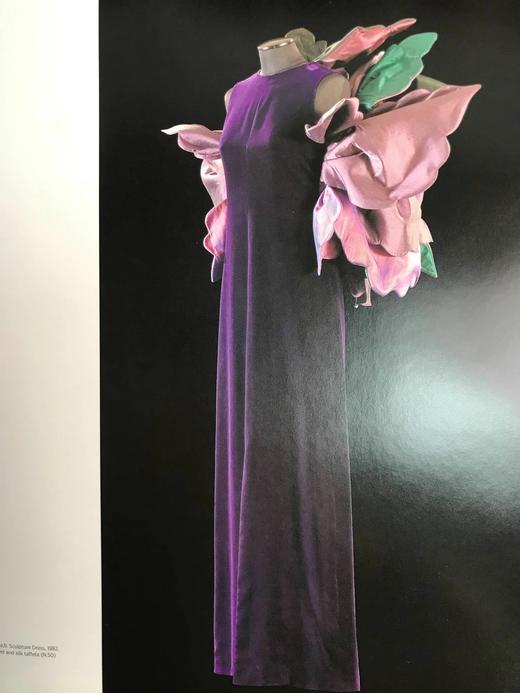 罗贝托·卡普奇：艺术融入时尚 约百余幅彩色插图 平装大16开 商品图13