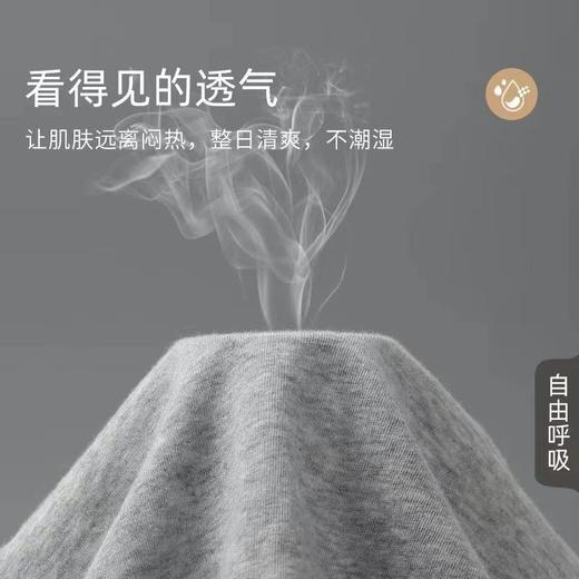 5条装【日抛内裤，轻松舒适】一次性纯棉，轻便巧妙；一日为期，方便易携。大气虽无，实则难舍。日抛平角三角全都有，不论差旅或短途，妥帖实惠。五一出行必备！ 商品图3