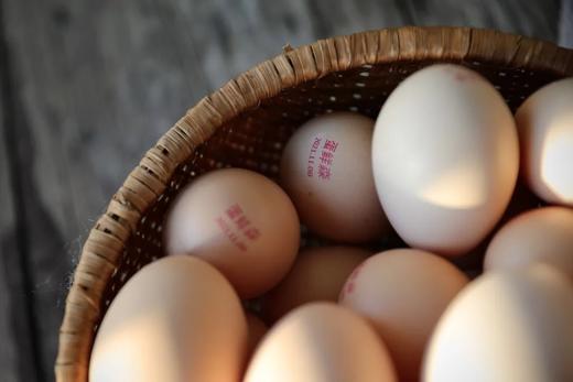 【可生食鸡蛋】蛋鲜森新鲜鸡蛋礼盒 30枚 正宗 无菌可生食  顺丰 纯福利 商品图6