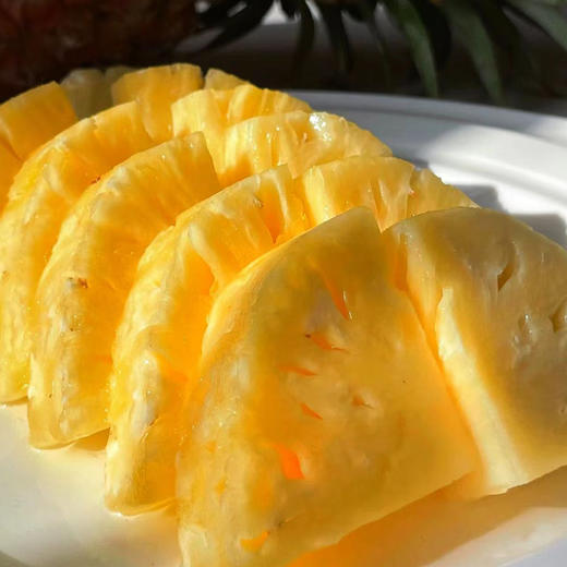 【京东发货】海南树上自然熟芒果凤梨23号 香甜多汁 糖度高达20°+ 现摘礼盒 坏果包赔 商品图1