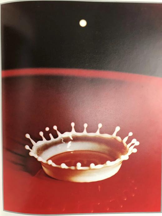 停止时间：哈罗德·埃杰顿摄影集 138幅插图（22幅彩色） 精装大16开 商品图6