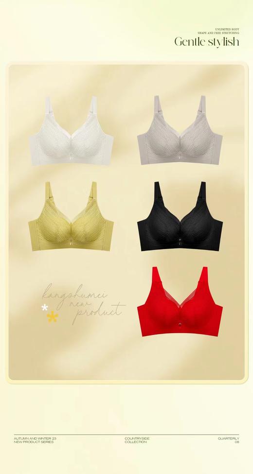 2024新款轻盈调整舒适无钢圈文胸时尚超聚拢中厚杯健康调整型内衣【6668】 商品图1