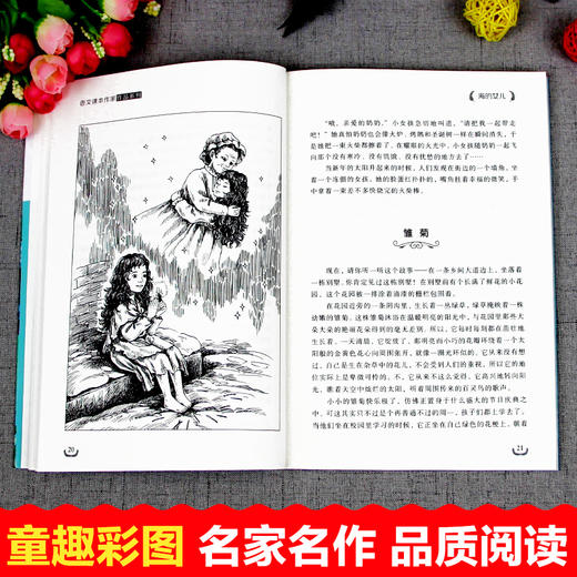 语文课本作家作品系列单色北方 海的女儿 商品图4