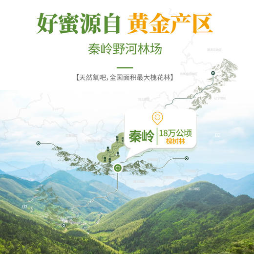 洋槐蜜便利装 /2盒 喉咙要清润 舒服不干痒 商品图2