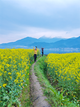  想和你交换一封信，我写我的山中生活，你写你的万千感慨丨山中来信 