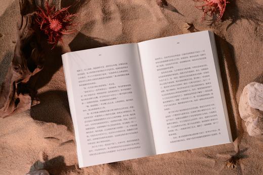 孤独鸽3册 商品图4