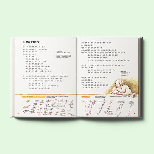 《水、我们、世界》《大地的力量》（共2册） 商品图7