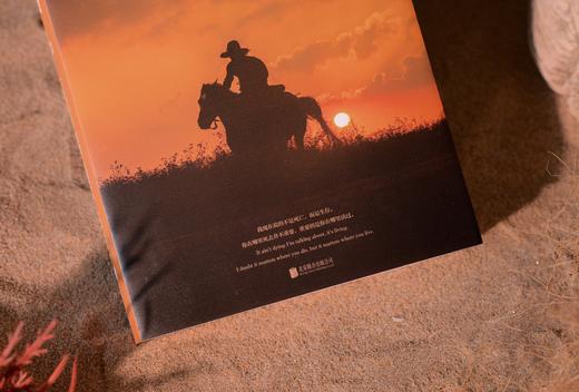 孤独鸽3册 商品图3