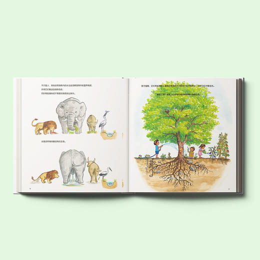 《水、我们、世界》《大地的力量》（共2册） 商品图2