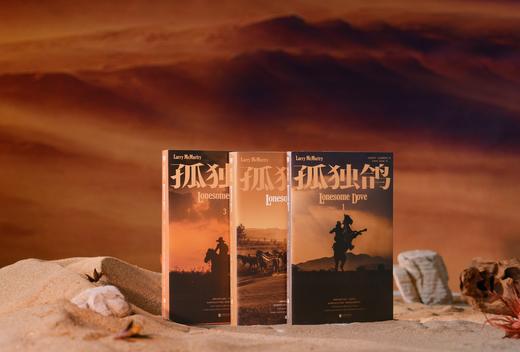 孤独鸽3册 商品图2