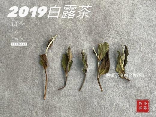 2019白露茶，又清，又鲜，又甜，又凉沁沁！ 商品图4