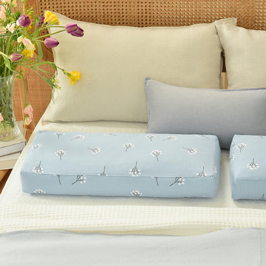 飞舞蒲公英长方枕荞麦壳枕头护颈椎荞麦皮睡眠四季 商品图3