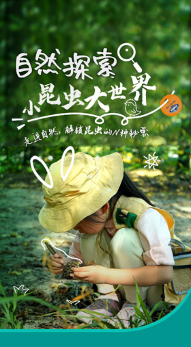 【班级研学】「小昆虫 大世界」让孩子们亲近大自然，激发他们探究的欲望