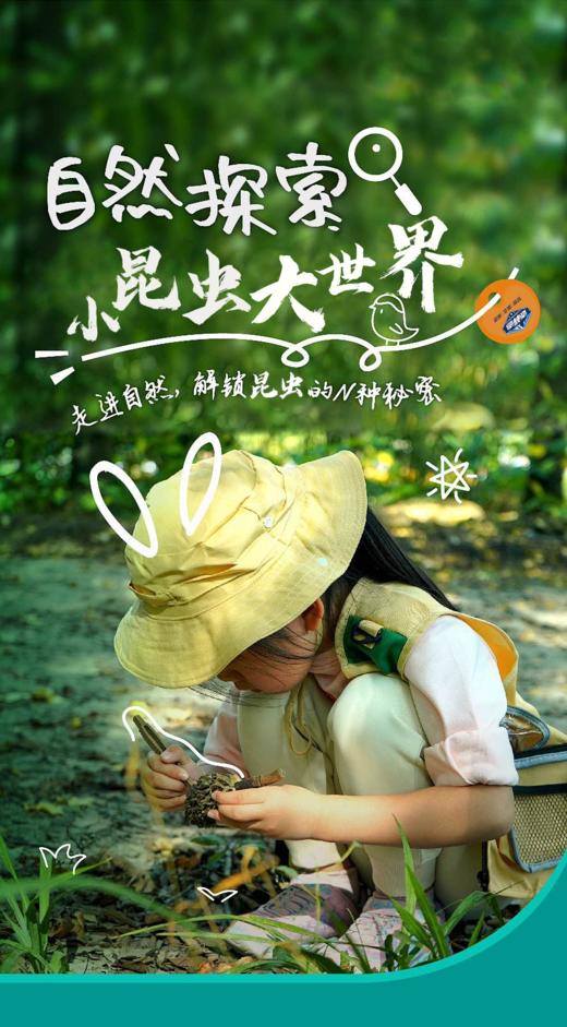 【班级研学】「小昆虫 大世界」让孩子们亲近大自然，激发他们探究的欲望 商品图0