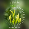 华祥苑安吉白茶茶叶 2024年明前绿茶150g礼盒装 商品缩略图2