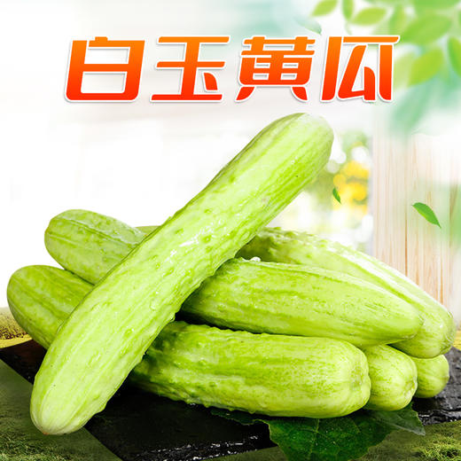 【山东黄瓜】白玉黄瓜新鲜山东旱黄瓜生吃孕妇蔬菜农当季水果青瓜 商品图5