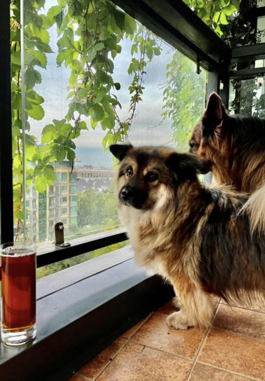 山楂系列。过年买一送一 商品图6