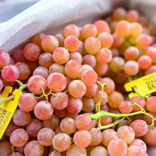 【荔枝香 葡萄】澳洲货，果粒不大，粉色果皮，有脆皮感，无籽，带有荔枝香甜，口感很好！ 商品图0