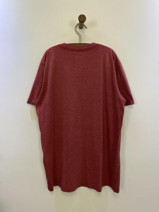 The North Face 北面 短袖T恤 _SST(M) 商品图3