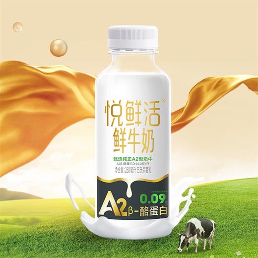 悦鲜活A2β酪蛋白鲜牛奶260ML和450ML2种选择 商品图0