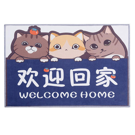 「9.9元包邮！拍2发3」门口地垫子进门卧室地毯家用吸水防滑脚垫厕所卫生间浴室厨房卡通居家日用布艺 商品图4