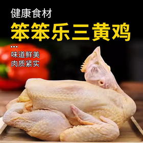 笨笨乐三黄鸡900g