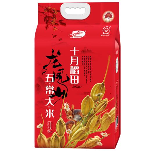 十月稻田五常大米5kg赠玉米油300ml 商品图2