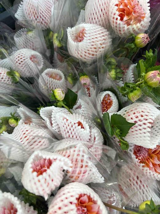 【新花派】大丽花-奶油桃子 约5枝/扎（爆款） 商品图7