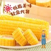 统一零售价13！B/速冻万全糯玉米1袋/4根-约1.3KG 商品缩略图1