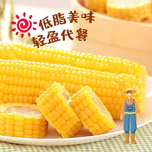 统一零售价13！B/速冻万全糯玉米1袋/4根-约1.3KG 商品图1