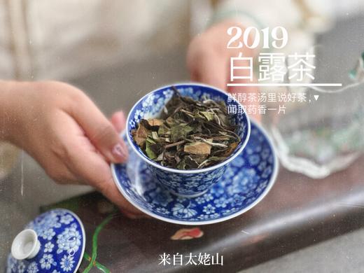 【4.5斤收藏装】5年陈的2019白露茶，又清、又稠、又鲜、又甜，又凉沁沁的 商品图1