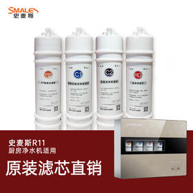 奥克斯净水机 RU01 /R11、AK09  11寸滤芯706型滤芯