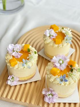 春日芒芒小奶糕