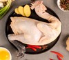 【BF】雪山草母鸡（半片）500g/盒（买一送一）（提货时间：4.15-4.21） 商品缩略图2