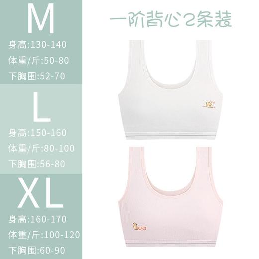 【草本初色】少女成长内衣&男女儿童平角内裤 商品图2