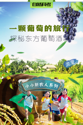 【班级研学】「一颗葡萄的旅行」童话、格调、活力缤纷，探秘东方最大葡萄酒城！