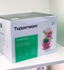 特百惠｜奇妙果菜篮 4.3L  洗菜发面 商品缩略图3