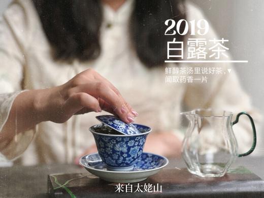 【4.5斤收藏装】5年陈的2019白露茶，又清、又稠、又鲜、又甜，又凉沁沁的 商品图5