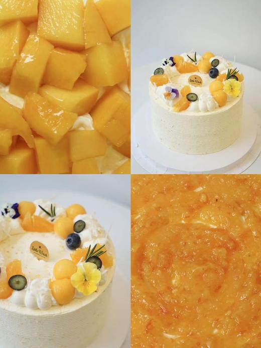 LITTLE WITCH  芒果柑橘奶油蛋糕 商品图2