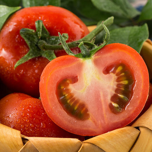 【陕西】普罗旺斯水果西红柿 个大 人工采摘 美味爽口 商品图0