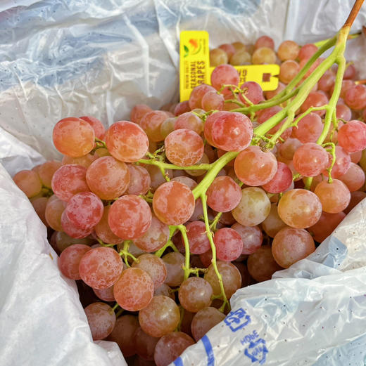 【荔枝香 葡萄】澳洲货，果粒不大，粉色果皮，有脆皮感，无籽，带有荔枝香甜，口感很好！ 商品图2