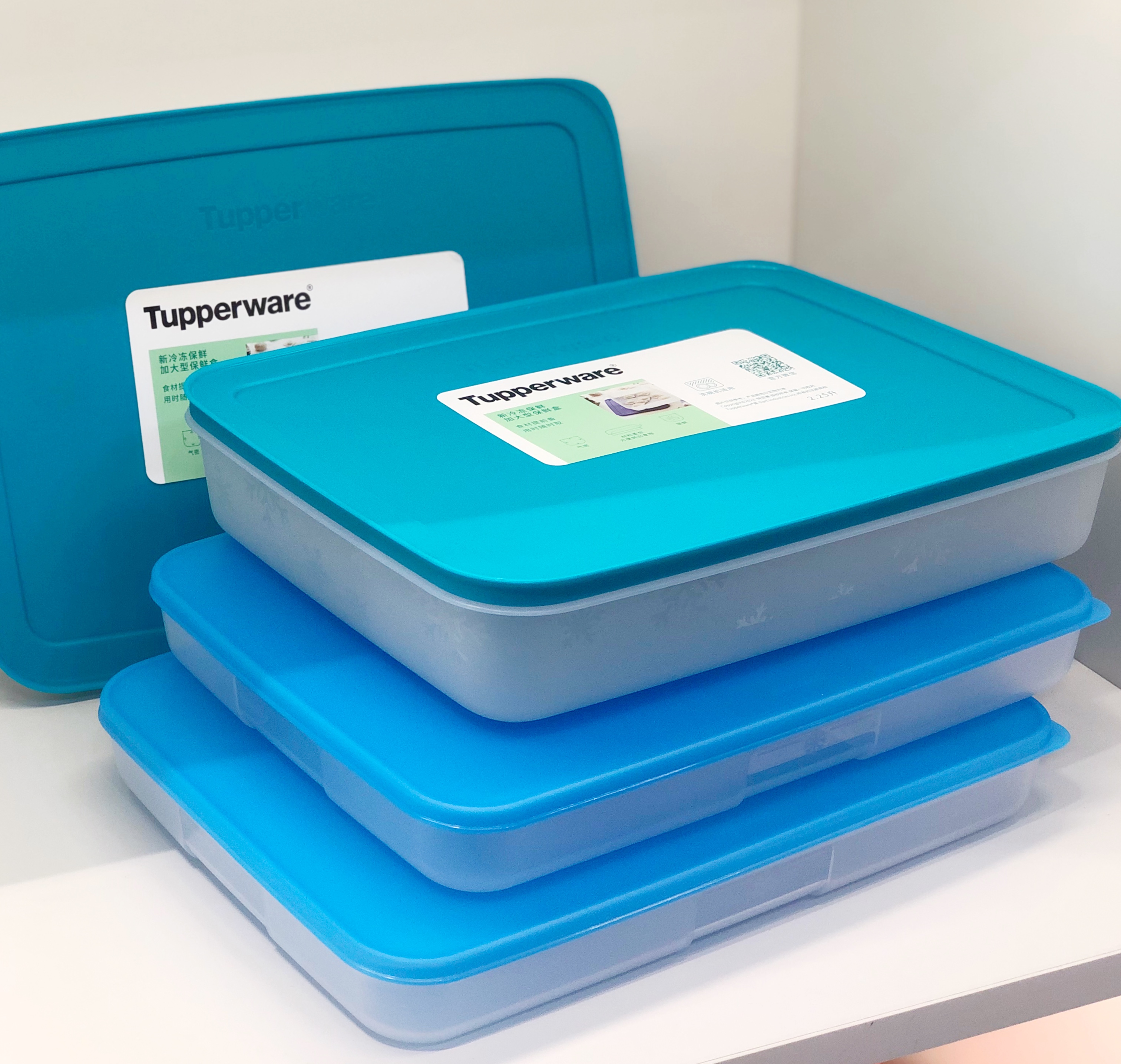 特百惠｜饺子盒冷冻保鲜盒 新款老款