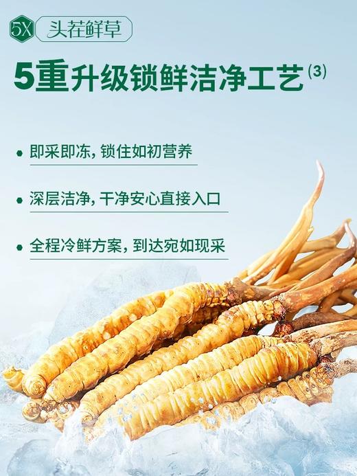 阿依舍2024年藏区新鲜冬虫夏草礼盒 商品图2