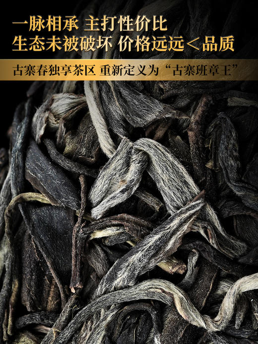 2024年春茶【班章王】千年树龄30米高杆古树，超越古树老班章的存在，仅古寨春茶友可享受到的神仙口感古茶，性价比天花板！拍5发6拍20发25 商品图7