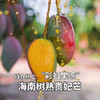 三亚自然熟山野贵妃芒🥭 商品缩略图8