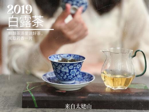 【4.5斤收藏装】5年陈的2019白露茶，又清、又稠、又鲜、又甜，又凉沁沁的 商品图7