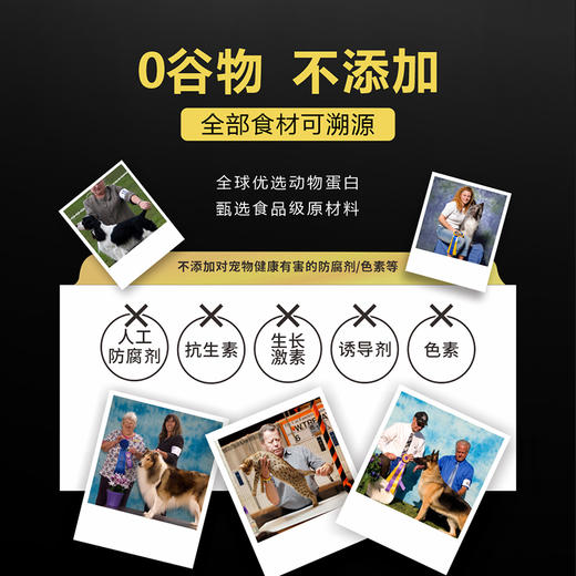 RAMICAL雷米高赛极号宠物全价猫粮无谷鸡肉冻干益消成幼猫主粮 商品图3